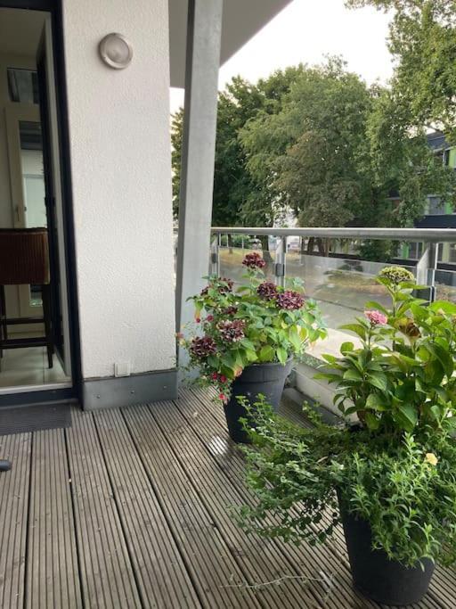 Ferienwohnung In Der Naehe Von Koeln Фрехен Екстериор снимка